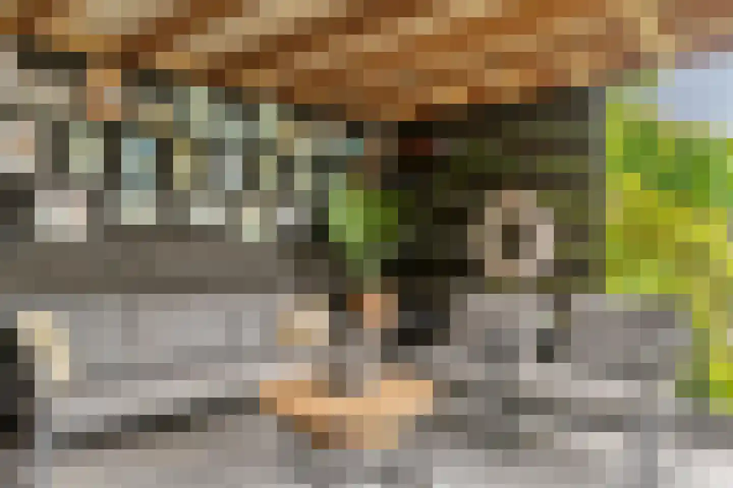 Steenbergerwijk 49 Dedemsvaart thumbnail 49