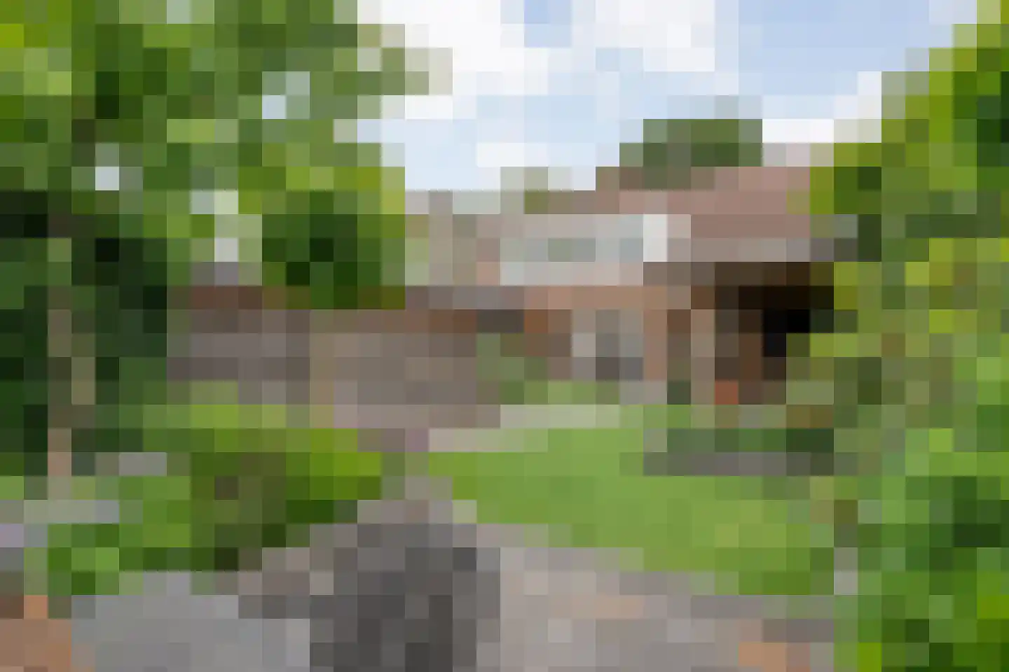 Steenbergerwijk 49 Dedemsvaart thumbnail 51