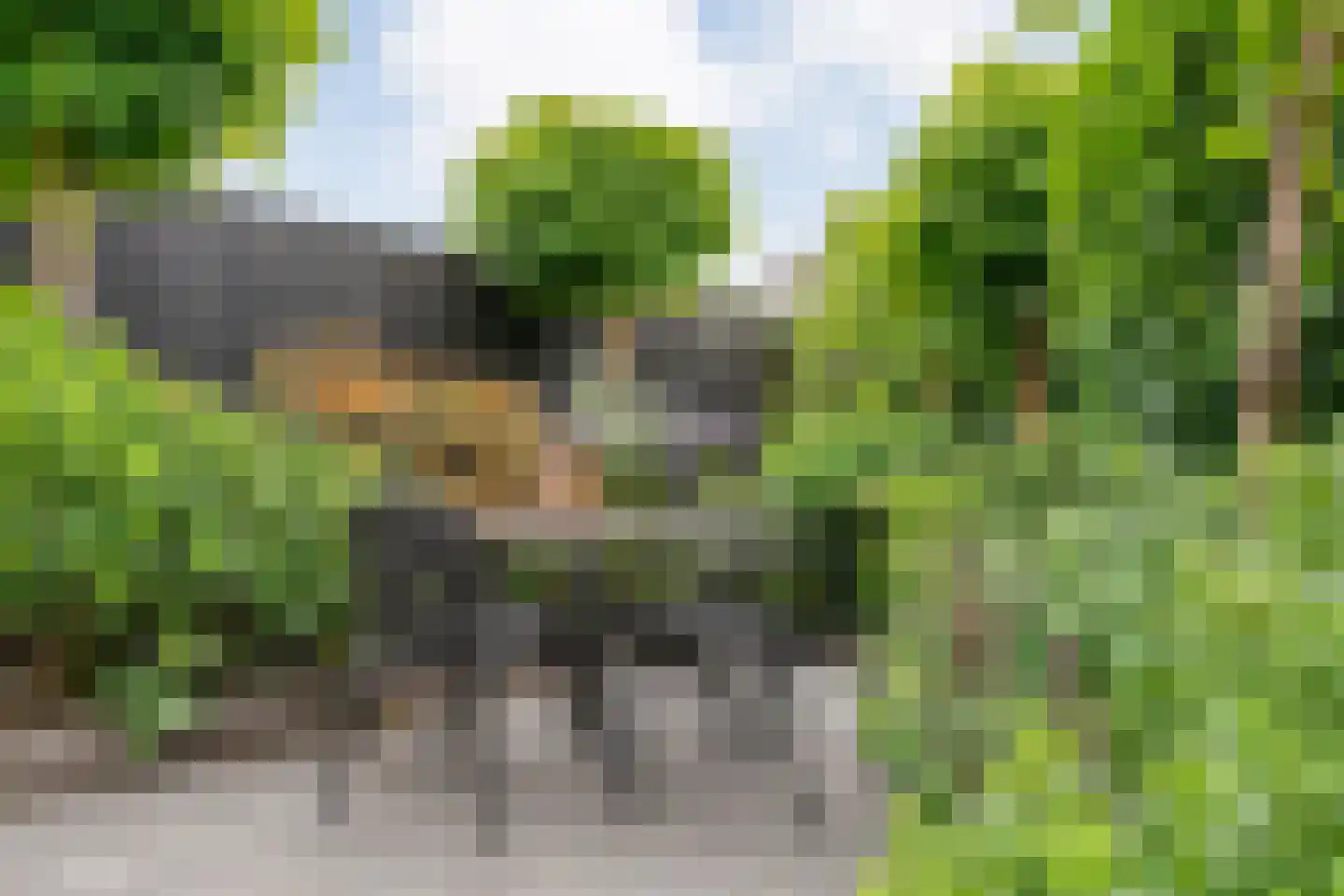 Steenbergerwijk 49 Dedemsvaart thumbnail 52