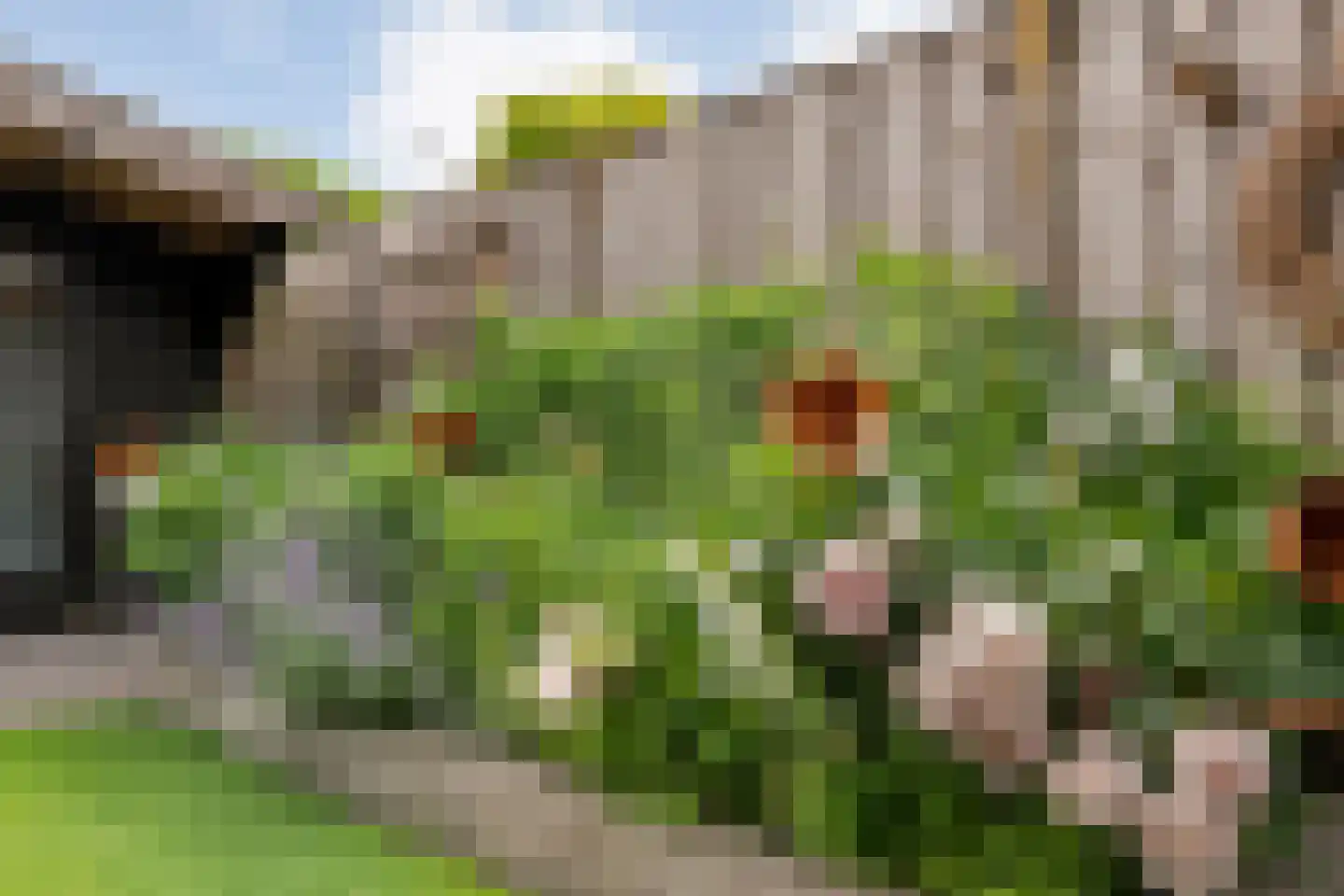 Steenbergerwijk 49 Dedemsvaart thumbnail 53