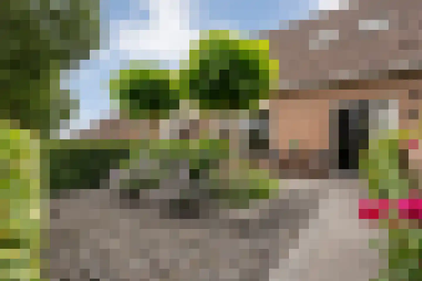 Steenbergerwijk 49 Dedemsvaart thumbnail 60
