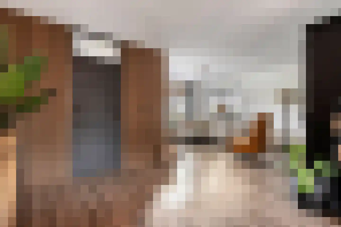 Steenbergerwijk 49 Dedemsvaart thumbnail 7