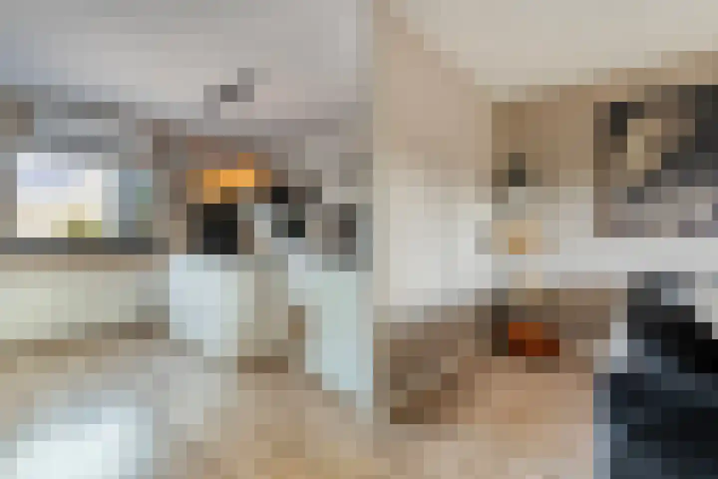 Steenbergerwijk 55 Dedemsvaart thumbnail 17