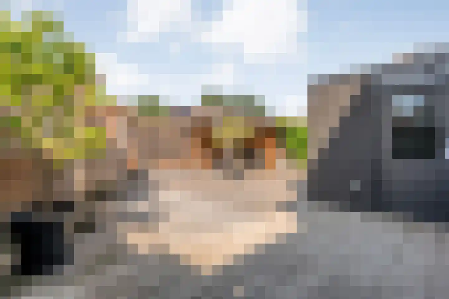 Steenbergerwijk 55 Dedemsvaart thumbnail 37