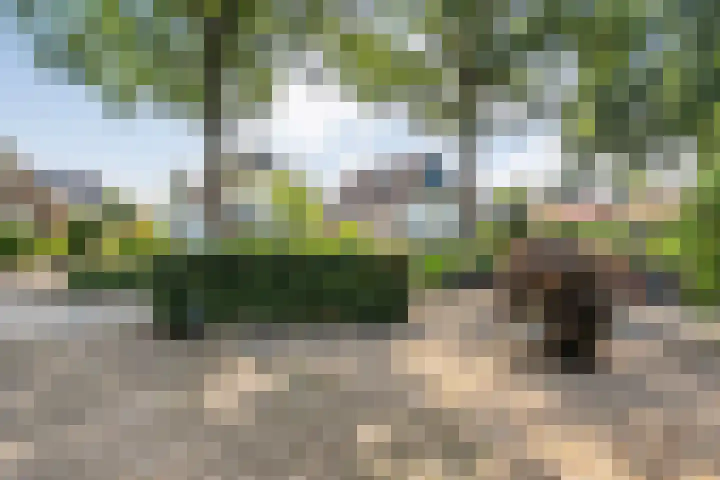 Steenbergerwijk 55 Dedemsvaart thumbnail 6