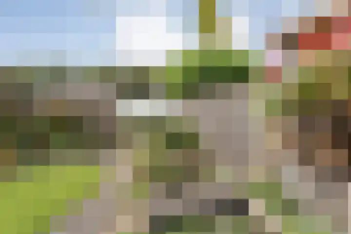 Steenbergerwijk 73 Dedemsvaart thumbnail 30