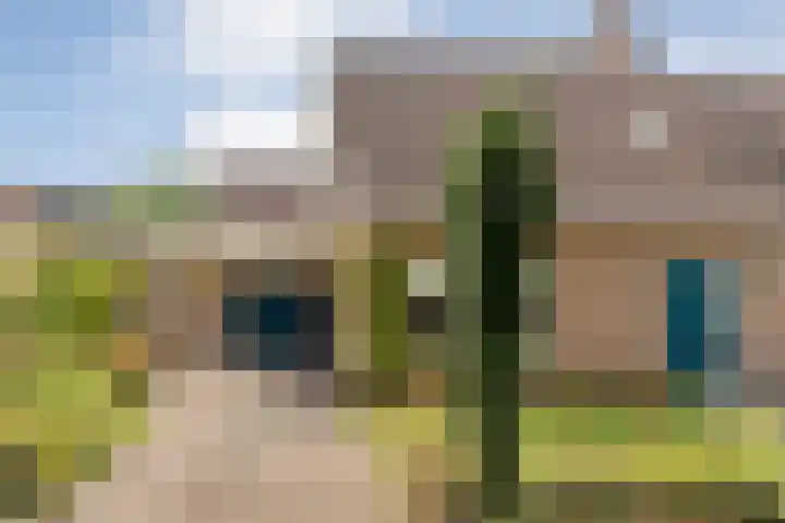 Steenbergerwijk 73 Dedemsvaart thumbnail 31
