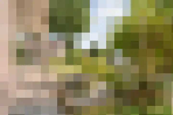 Steenbergerwijk 73 Dedemsvaart thumbnail 32