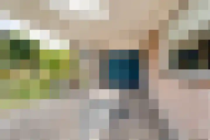 Steenbergerwijk 73 Dedemsvaart thumbnail 33