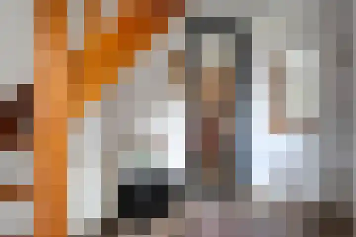 Steenbergerwijk 73 Dedemsvaart thumbnail 6