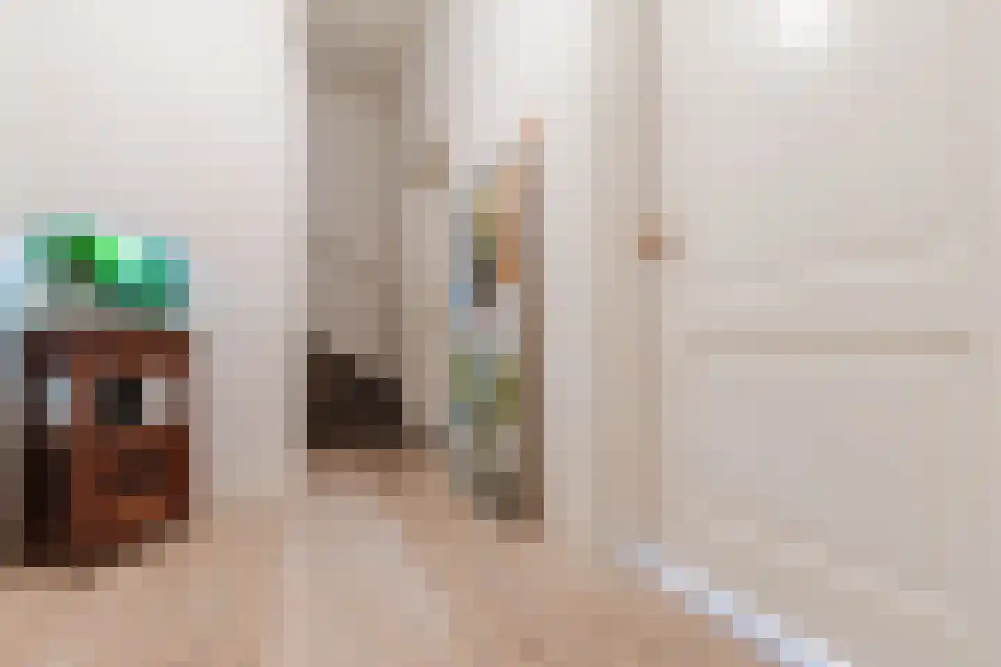 Steenbergsestraat 36 Bergen op Zoom thumbnail 33