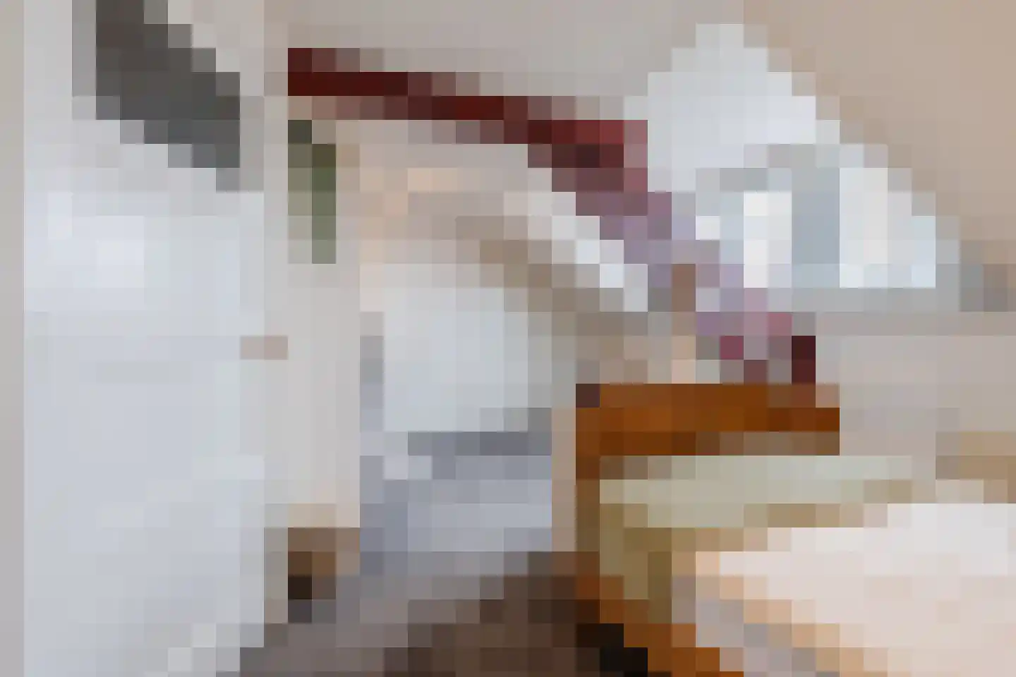 Steenbergsestraat 36 Bergen op Zoom thumbnail 38