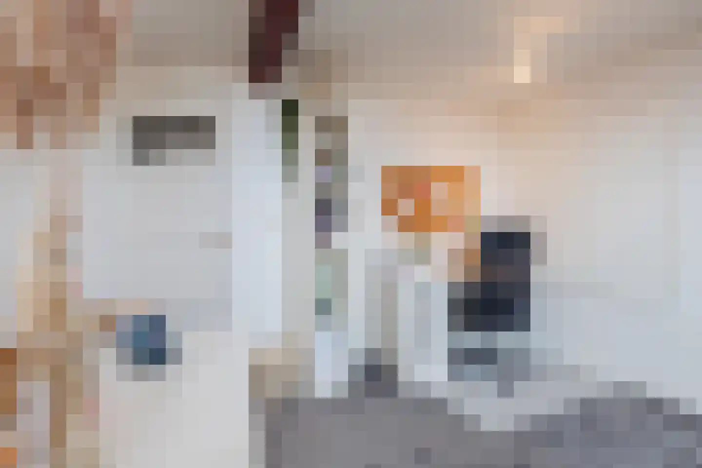 Steenbergsestraat 36 Bergen op Zoom thumbnail 39