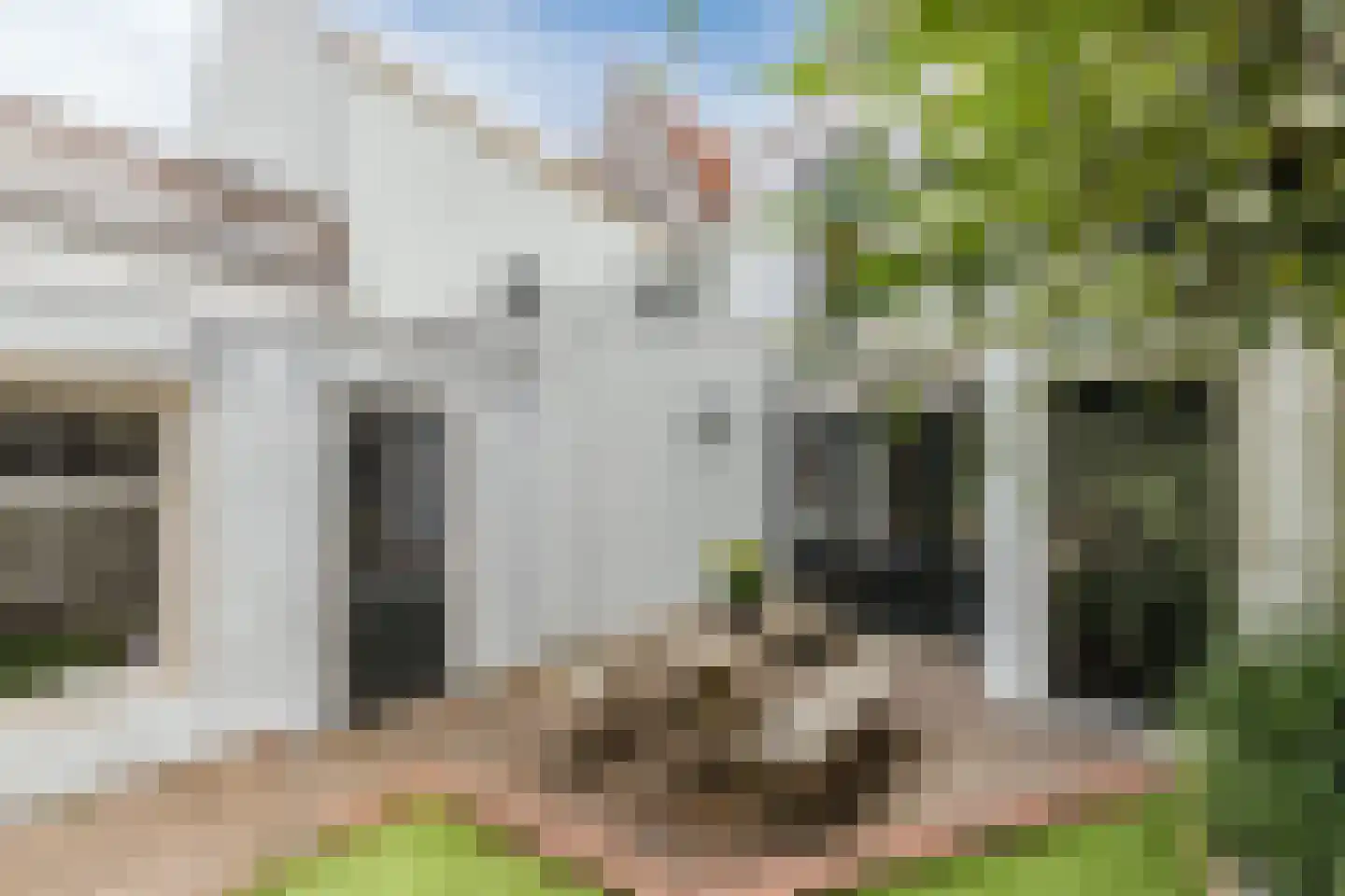 Steenbergsestraat 36 Bergen op Zoom thumbnail 5