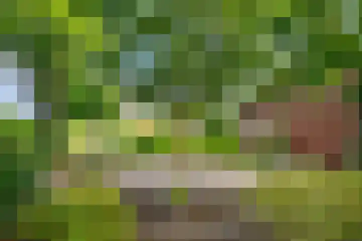 Steenbergseweg 101 Lepelstraat thumbnail 47