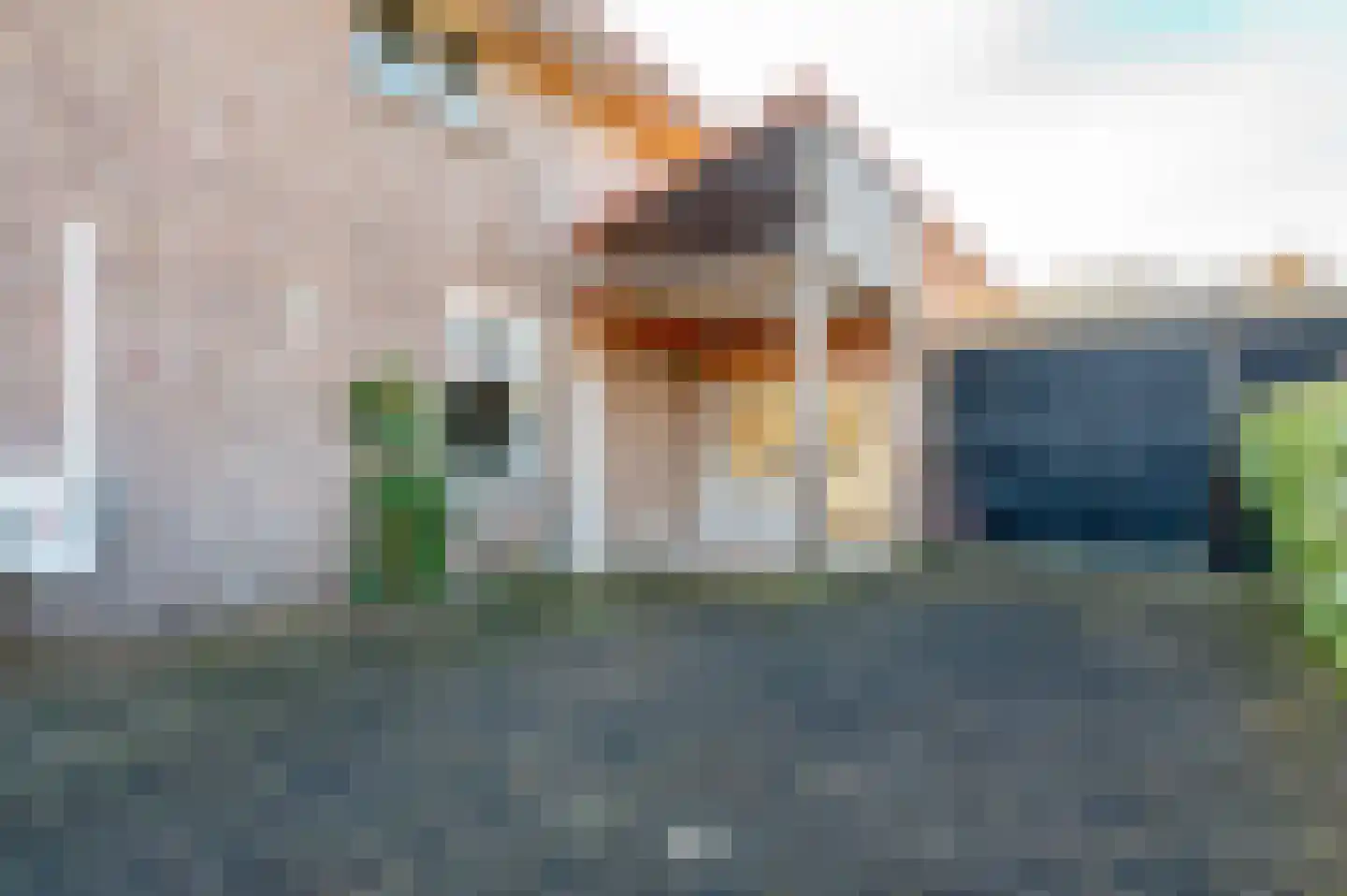 Steenbergseweg 106 Dinteloord thumbnail 48