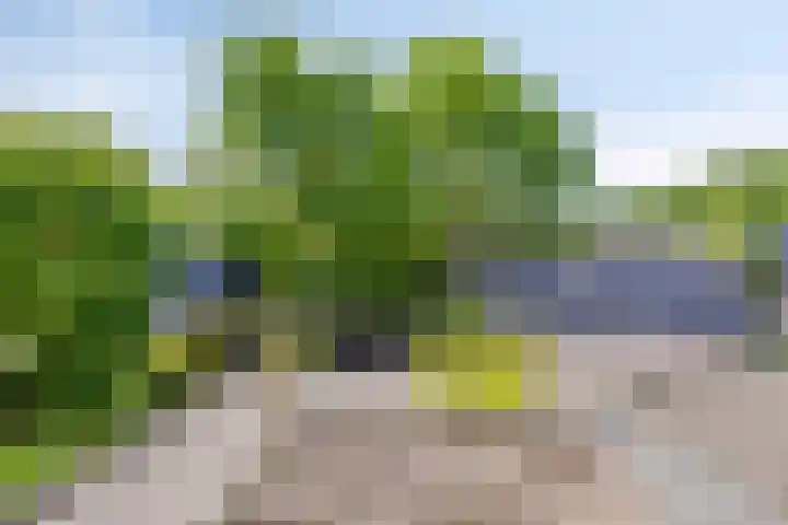 Steenbergseweg 11 Halsteren thumbnail 37