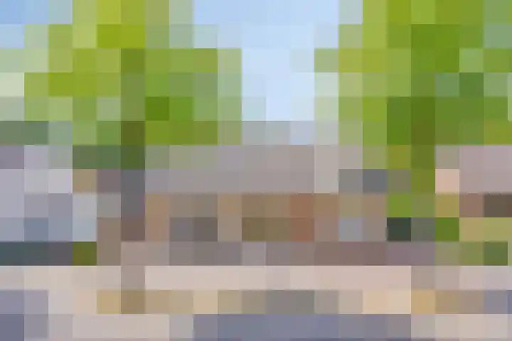 Steenbergseweg 11 Halsteren thumbnail 5