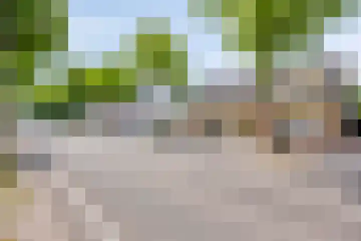 Steenbergseweg 11 Halsteren thumbnail 6