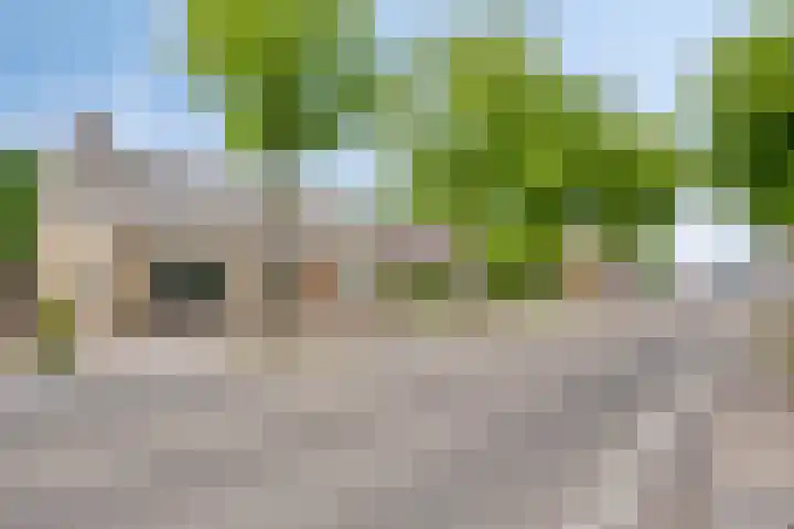 Steenbergseweg 11 Halsteren thumbnail 7