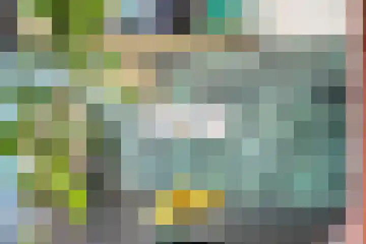 Steenbergseweg 25 Dinteloord thumbnail 11