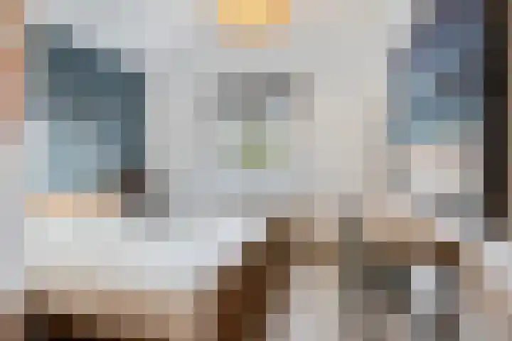 Steenbergseweg 25 Dinteloord thumbnail 15