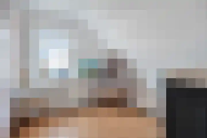 Steenbergseweg 25 Dinteloord thumbnail 17