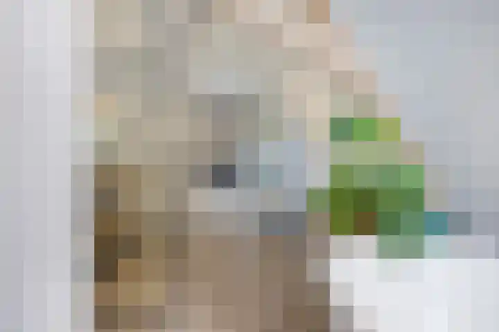 Steenbergseweg 25 Dinteloord thumbnail 21