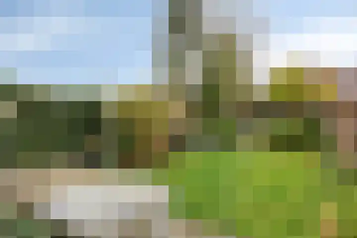 Steenbergseweg 25 Dinteloord thumbnail 24