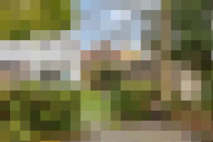 Steenbergseweg 25 Dinteloord thumbnail 25