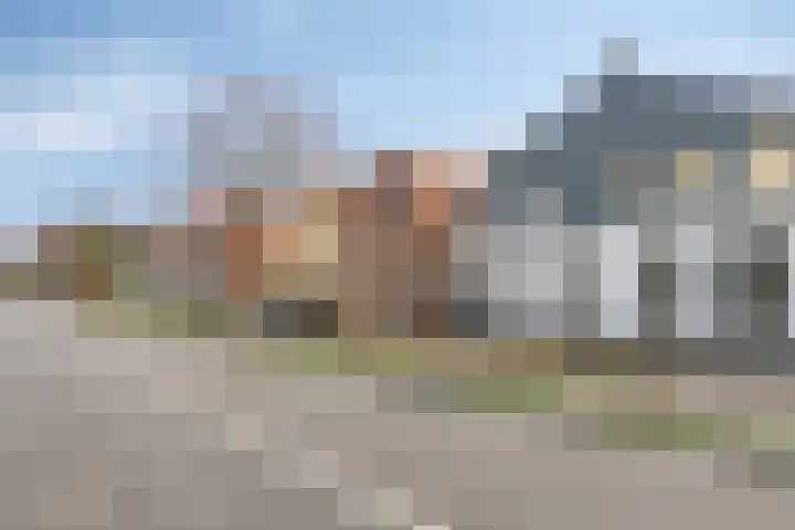 Steenbergseweg 25 Dinteloord thumbnail 28