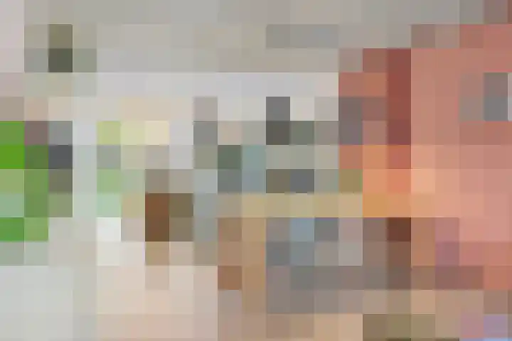Steenbergseweg 25 Dinteloord thumbnail 5