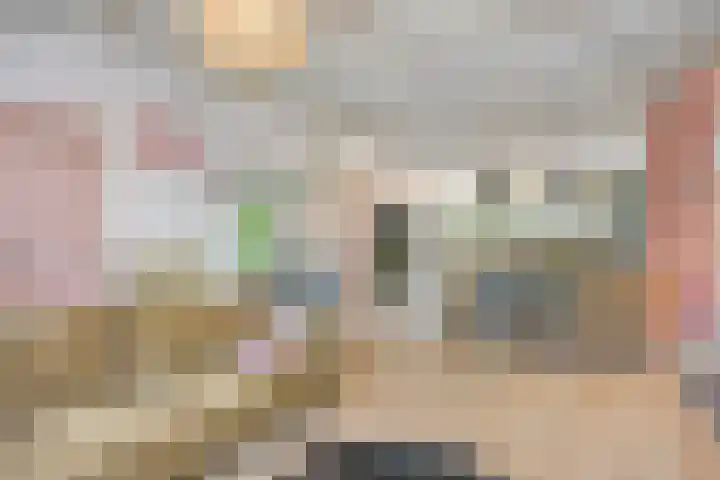 Steenbergseweg 25 Dinteloord thumbnail 6