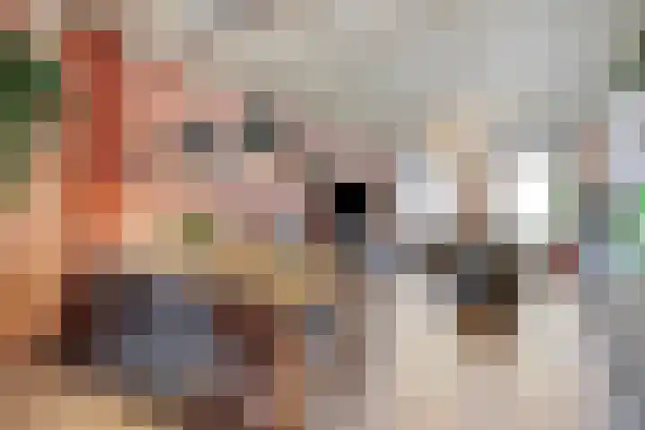 Steenbergseweg 25 Dinteloord thumbnail 7