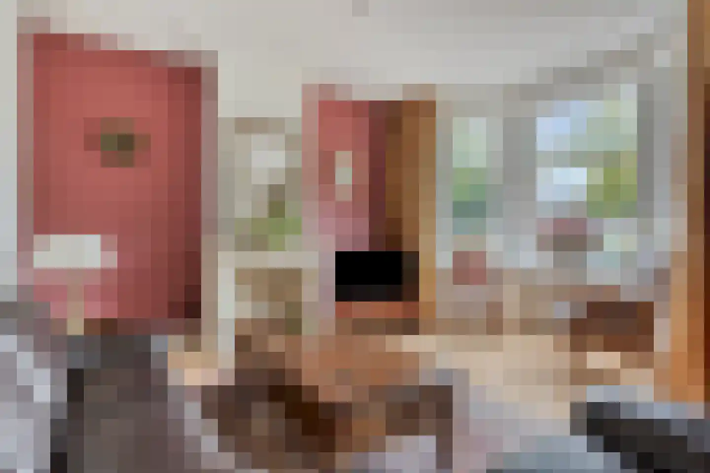 Steenbergseweg 26 Dinteloord thumbnail 11
