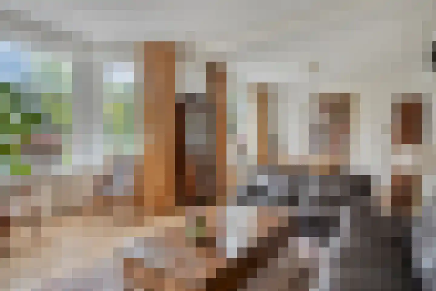 Steenbergseweg 26 Dinteloord thumbnail 12
