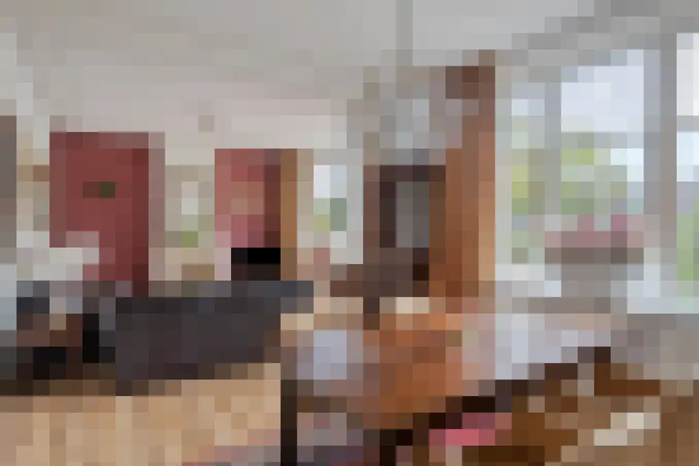 Steenbergseweg 26 Dinteloord thumbnail 19