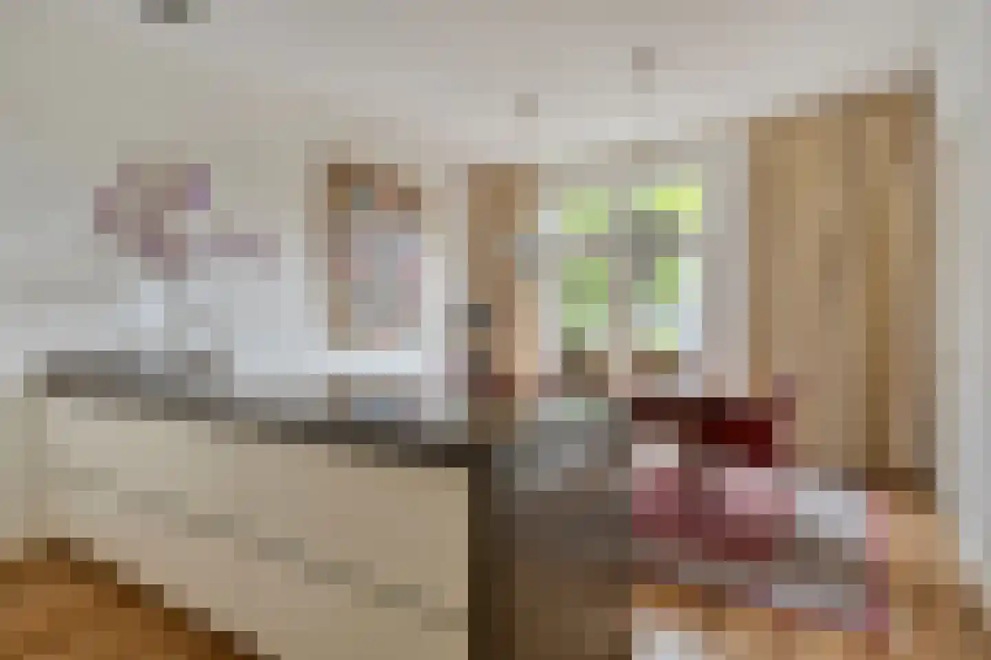 Steenbergseweg 26 Dinteloord thumbnail 20