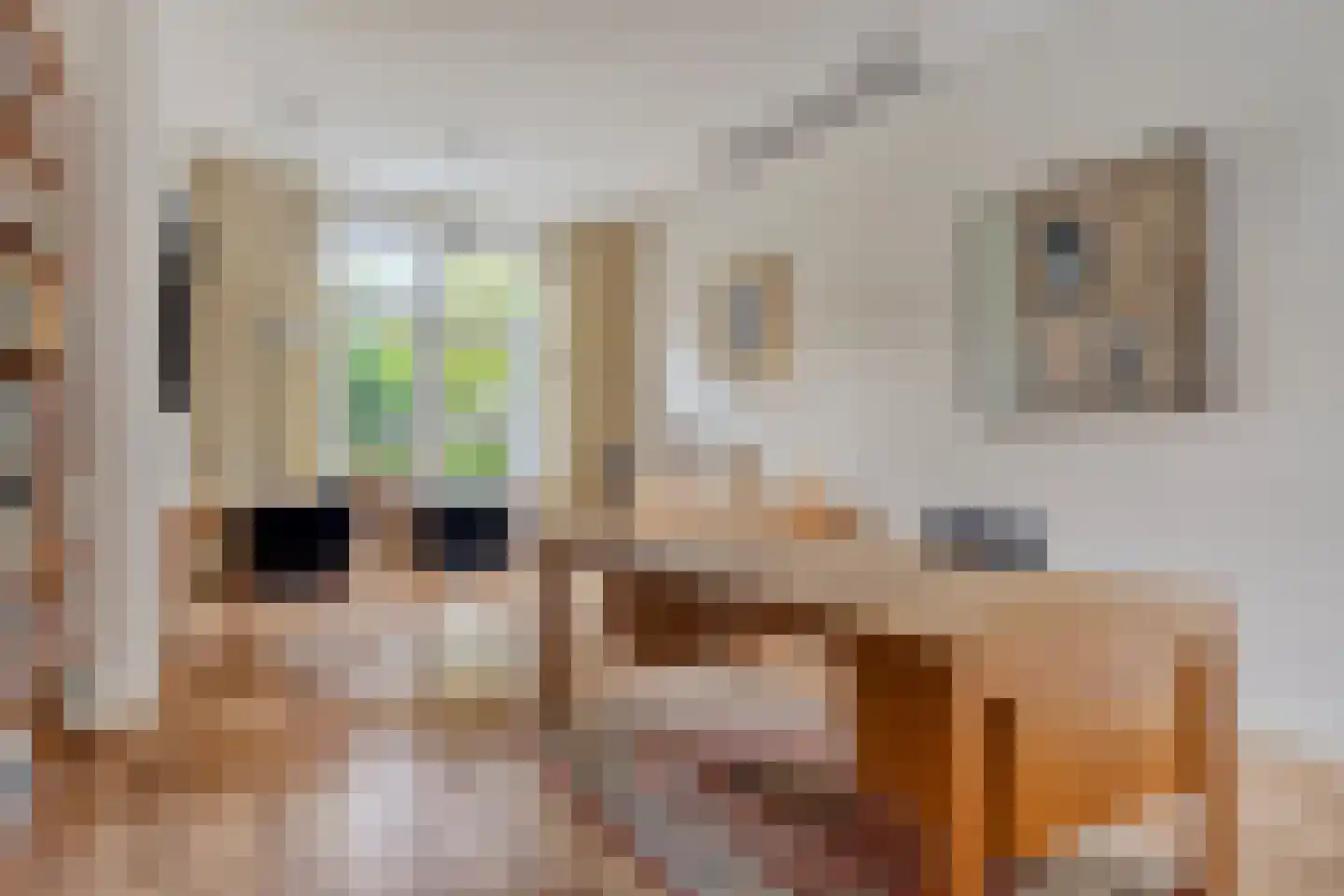 Steenbergseweg 26 Dinteloord thumbnail 30