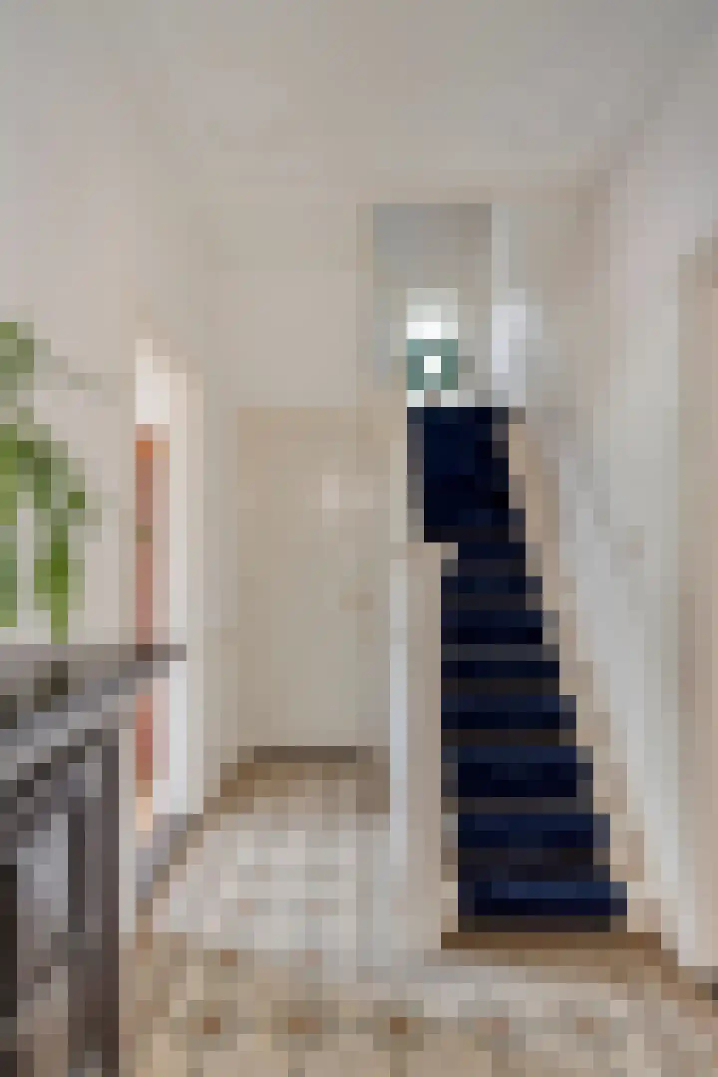 Steenbergseweg 26 Dinteloord thumbnail 34