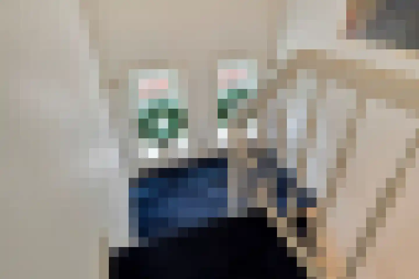 Steenbergseweg 26 Dinteloord thumbnail 37