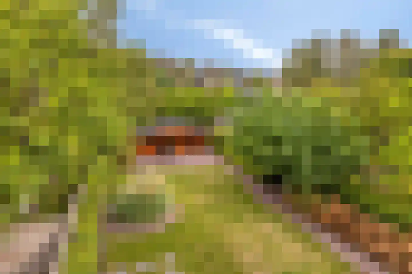 Steenbergseweg 26 Dinteloord thumbnail 4