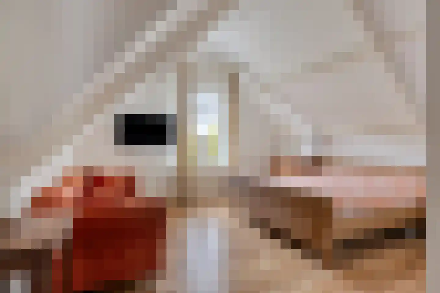 Steenbergseweg 26 Dinteloord thumbnail 40