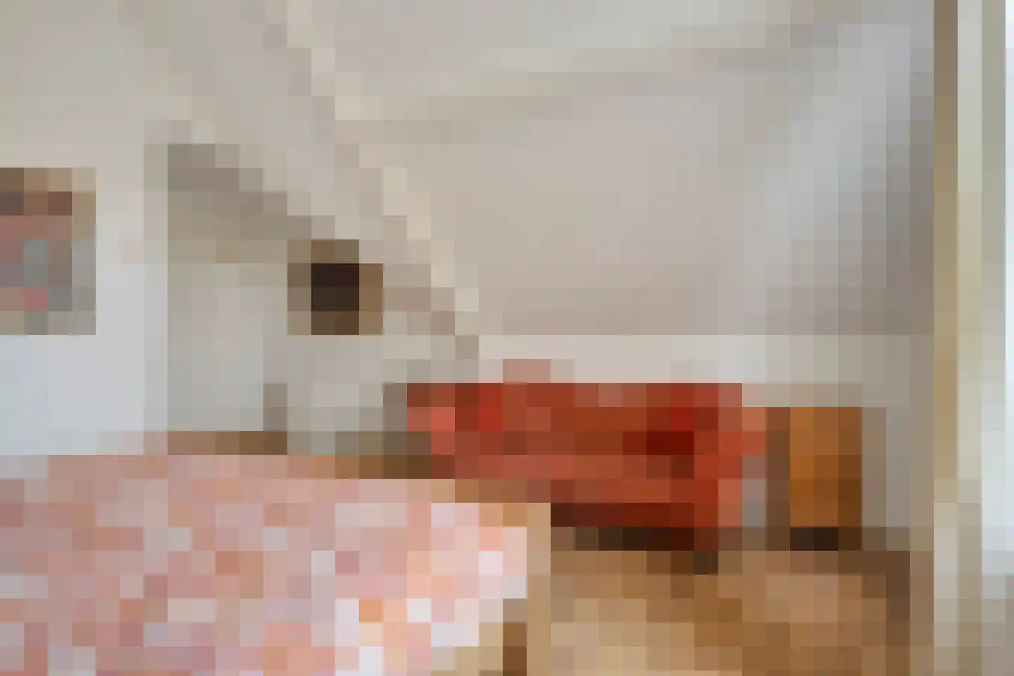 Steenbergseweg 26 Dinteloord thumbnail 41