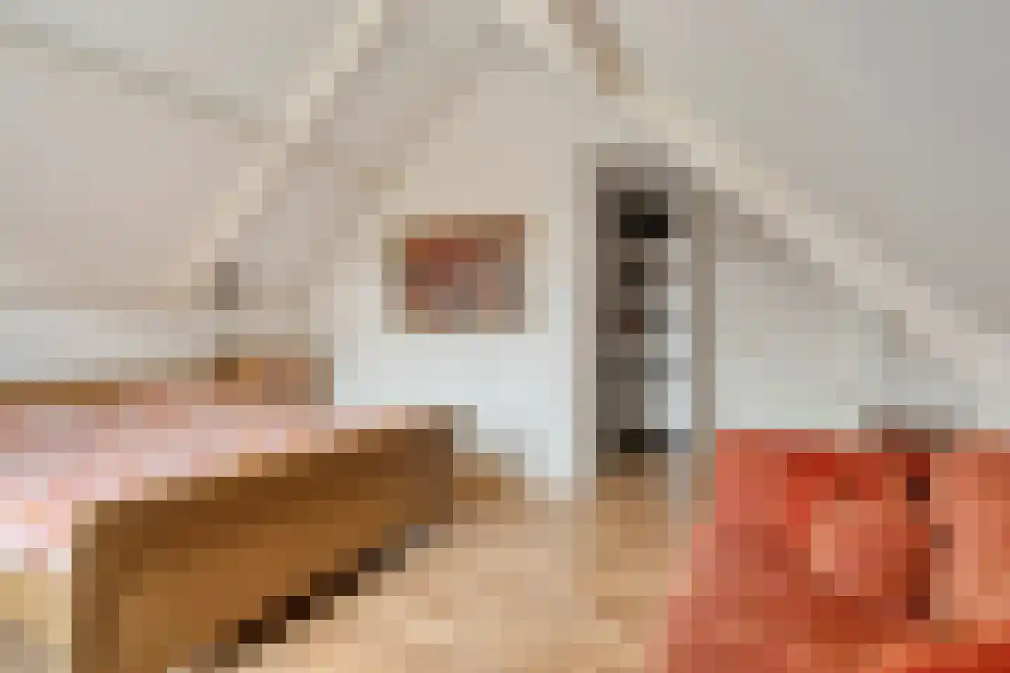 Steenbergseweg 26 Dinteloord thumbnail 42