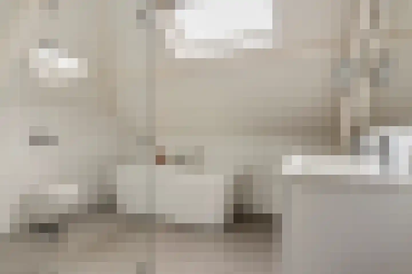 Steenbergseweg 26 Dinteloord thumbnail 44