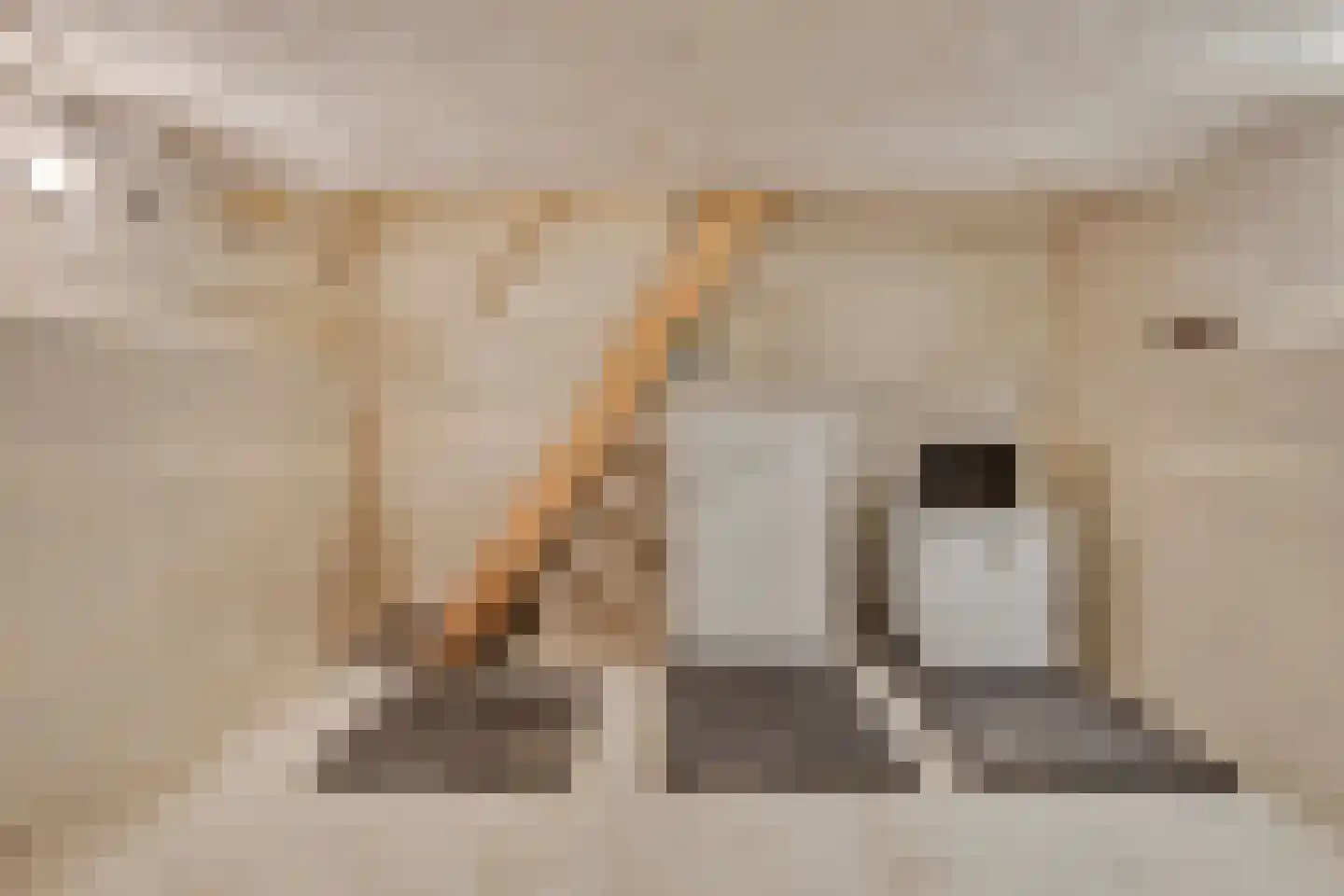 Steenbergseweg 26 Dinteloord thumbnail 55