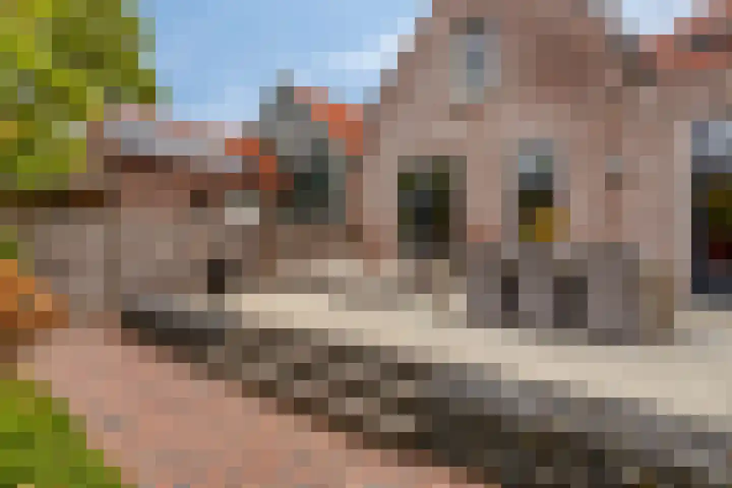 Steenbergseweg 26 Dinteloord thumbnail 56