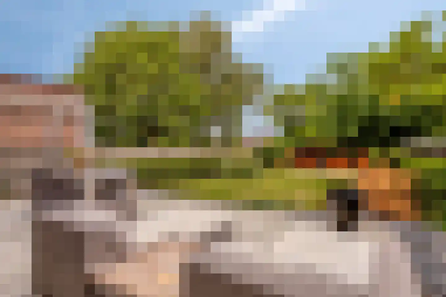 Steenbergseweg 26 Dinteloord thumbnail 58