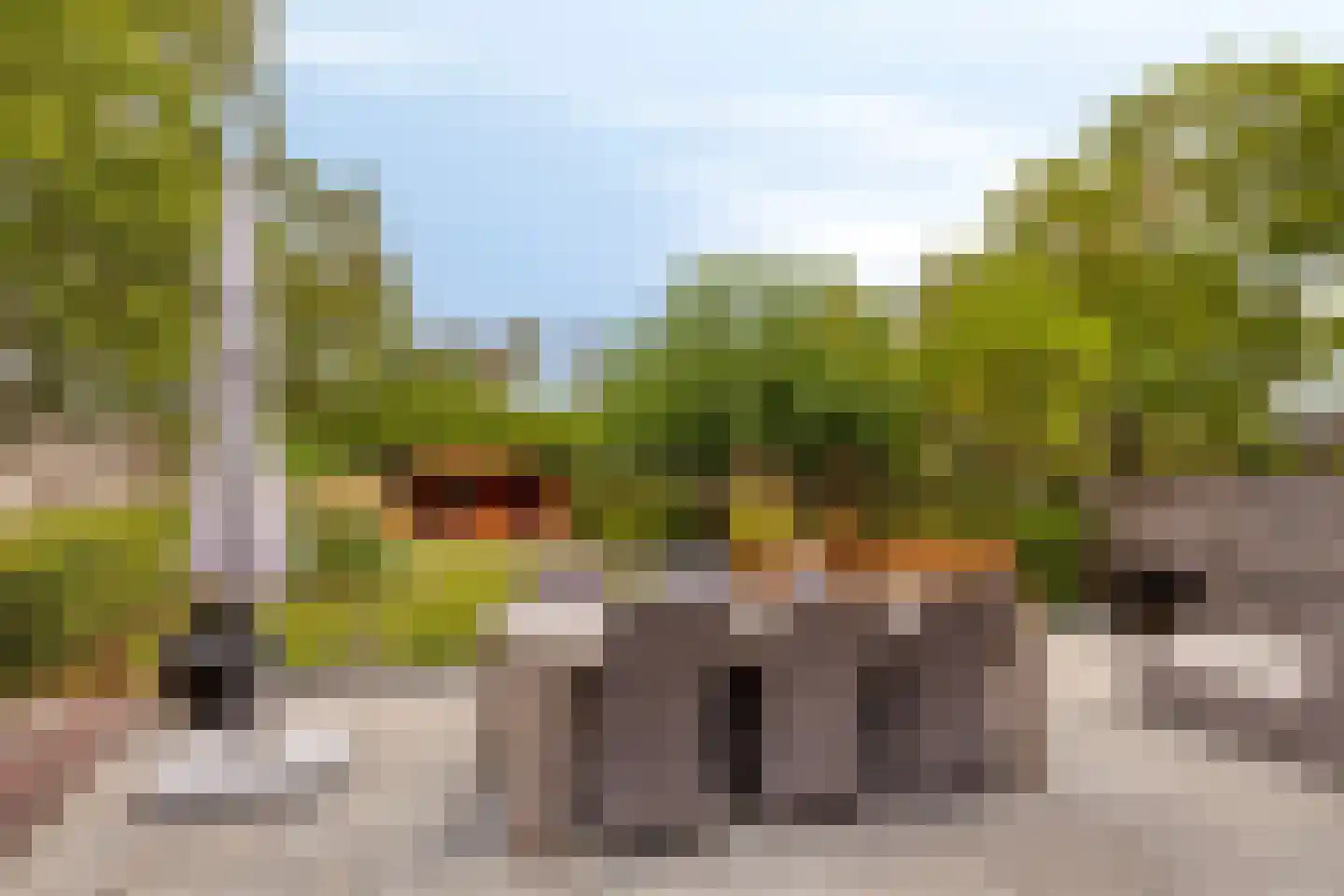 Steenbergseweg 26 Dinteloord thumbnail 59